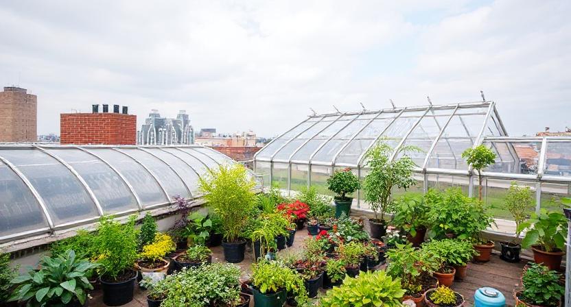 Urban agriculture installation on rooftops with smart irrigation and monitoring systems - Agrila partnership